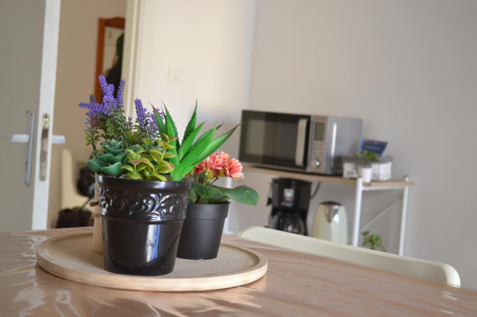Apartment 4 Country Side - Center Palermo